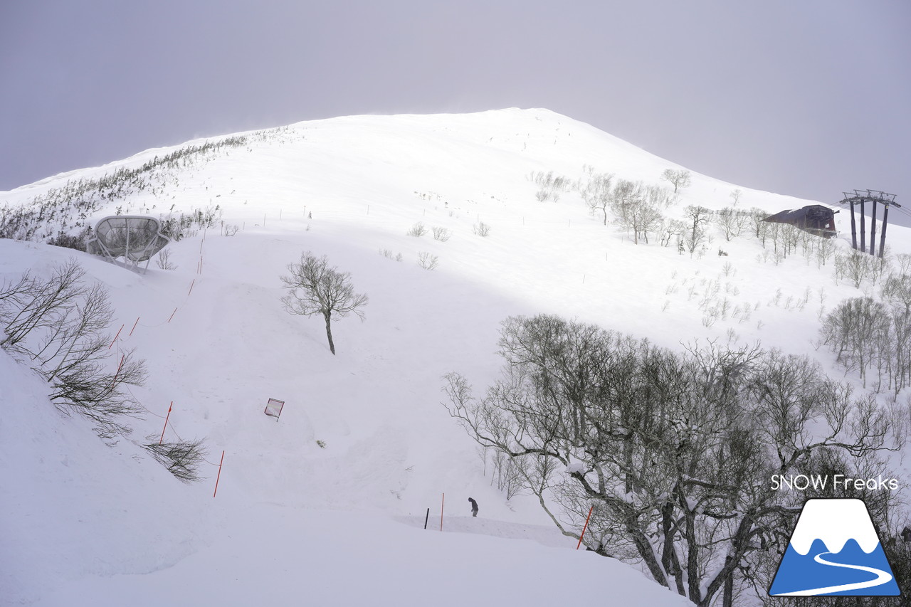 北海道スキー場巡り 2019　星野リゾート トマム ～ 国設南ふらのスキー場